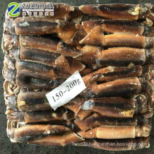 Frozen New Arrival Illex Squid Jigger Caught 100%N.W. Sea Frozen